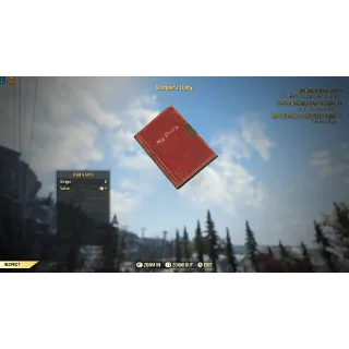 Camper’s Diary misc item 