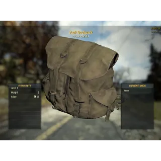 Vault backpack  tan  colour  dev room apparel item collector 