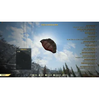 Viable scorchbeast DNA  misc item