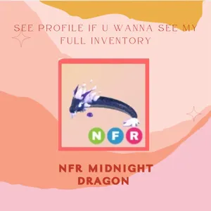NFR Midnight Dragon