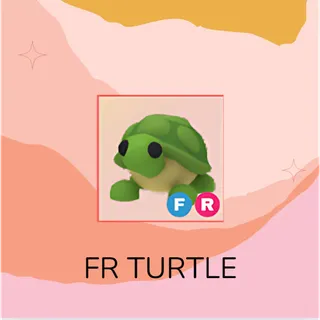 FR Turtle