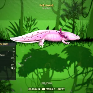 Pink Axolotl