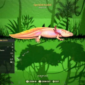 Speckled Axolotl