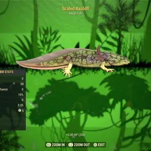 Scaled Axolotl
