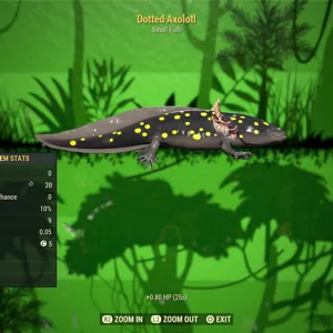 Dotted Axolotl