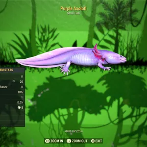 Purple Axolotl