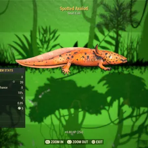 Spotted Axolotl