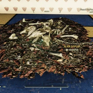 Ritual Pile