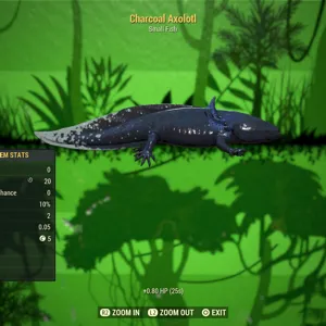 Charcoal Axolotl