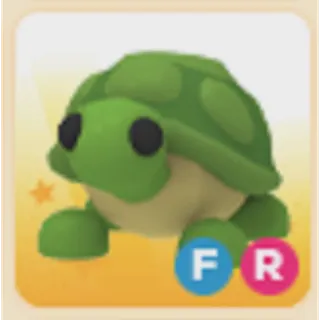 FR Turtle