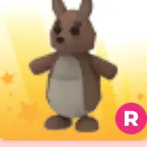 kangaroo