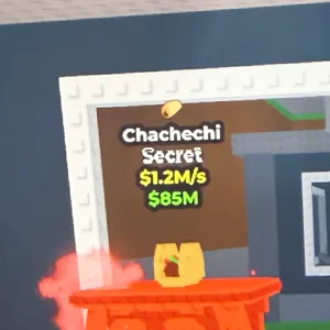 chachechi 1.2m