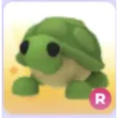 R Turtle