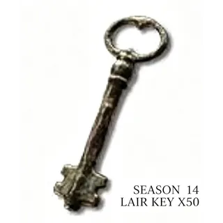  LAIR KEY X200 DIABLO 4 DIABLO IV S14   SEASON 14 Fast Delivery 