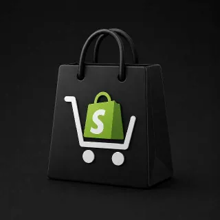 Custom Dropshipping Store Setup