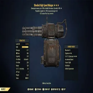 BE25 Minigun