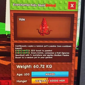 60Kg+ EC Ruby Squid