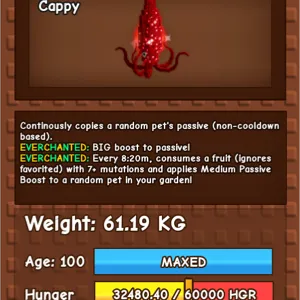 60Kg+ EC Ruby Squid