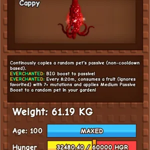 60Kg+ EC Ruby Squid