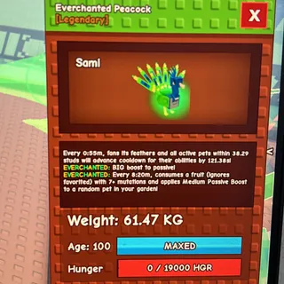 60Kg+ EC Peacock