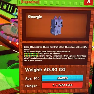 60Kg+ EC Moon Cat