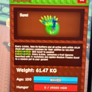60Kg+ EC Peacock