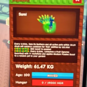 60Kg+ EC Peacock