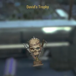 David’s Trophy