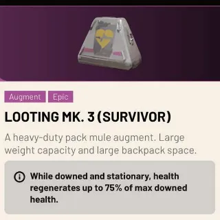 Looting Mk3 Survivor