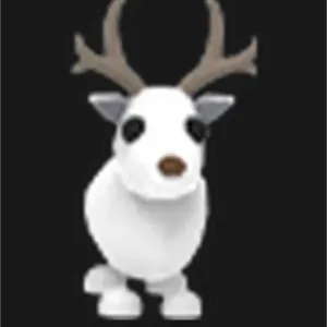 Arctic Reindeer