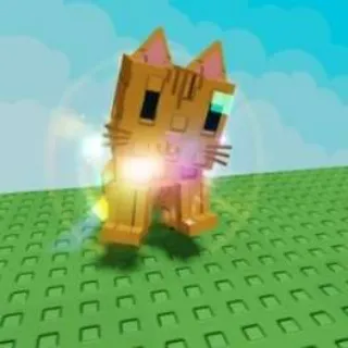 Rainbow Orange Tabby