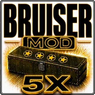 bruiser's mod