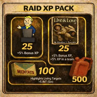 Raid XP Pack Small