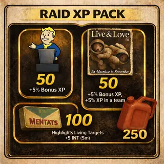 Raid XP Pack Small