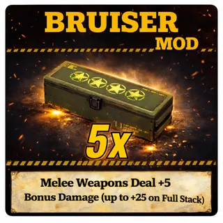bruiser's mod