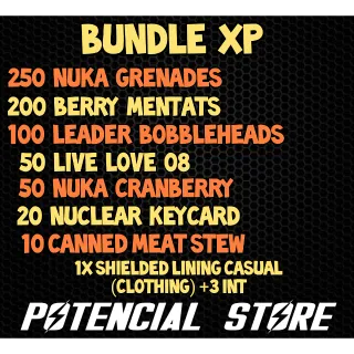 Bundle XP 