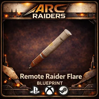 Remote Raider Blueprint