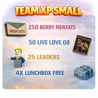 Team XP Small