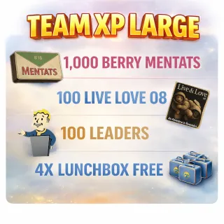 Team XP Large