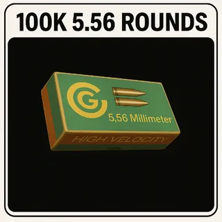 556 Rounds
