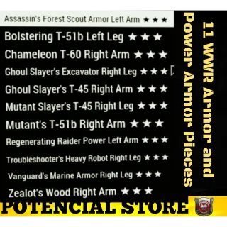 11 WWR Armor and Power Armor Pieces