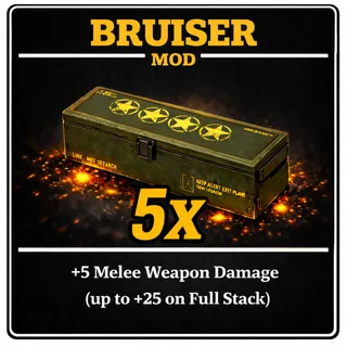 bruiser's mod