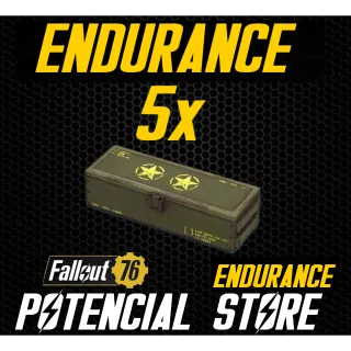 Endurance Mod 