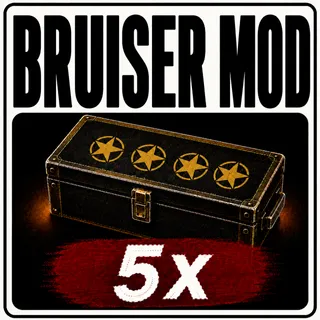 5 bruiser's mod