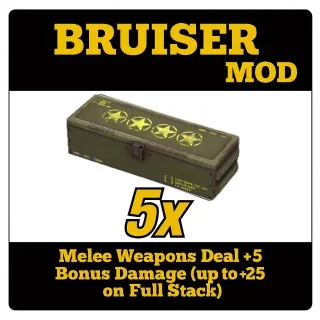 bruiser's mod