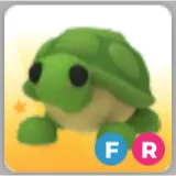 FR Turtle