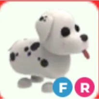 FR Dalmatian