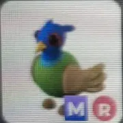 MR GreenChested Pheasant
