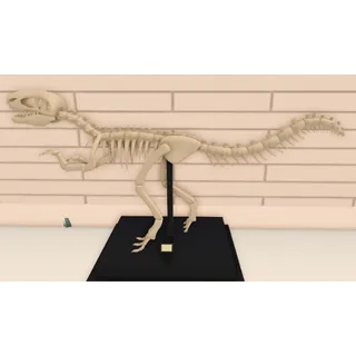 Run a Restaurant - Dinosaur Fossil