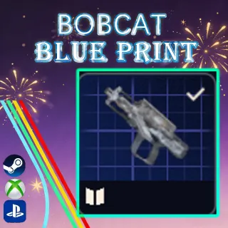 BOBCAT BLUEPRINT